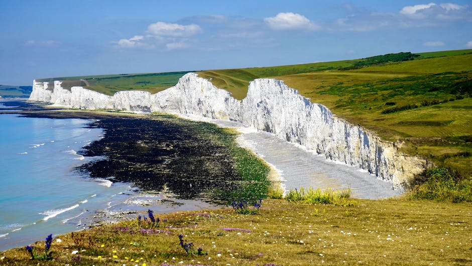 A gravel pathway leading towards a small cluster of white houses with dark roofs situated near the coastline. The surrounding foreground features dense, wild vegetation on both sides, with bushes and